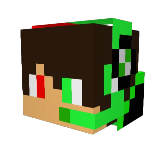 IBimsEinsRafi Minecraft avatar head, 3D render