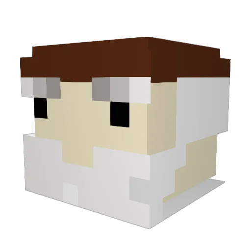 IBlameLagg69 Minecraft avatar head, 3D render
