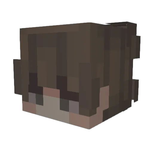 IBray Minecraft avatar head, 3D render