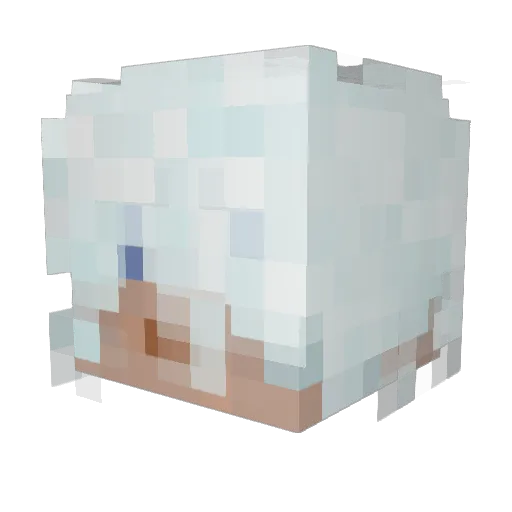 IBuckeeet Minecraft avatar head, 3D render