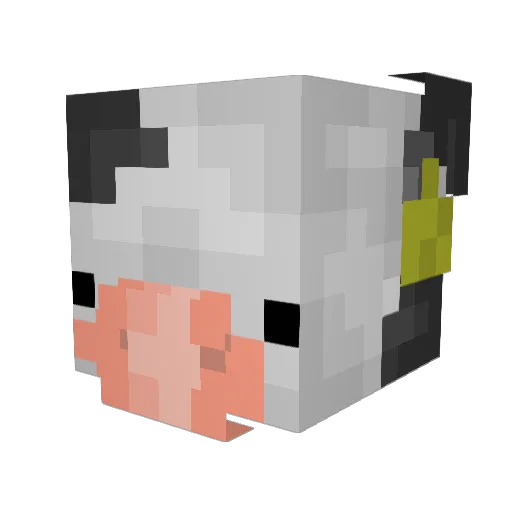 IBunce4 Minecraft avatar head, 3D render