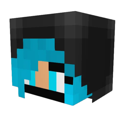 ICCNS1 Minecraft avatar head, 3D render