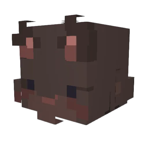 ICEfish12138 Minecraft avatar head, 3D render