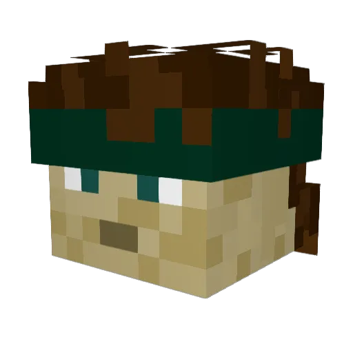 ICantFly67 Minecraft avatar head, 3D render