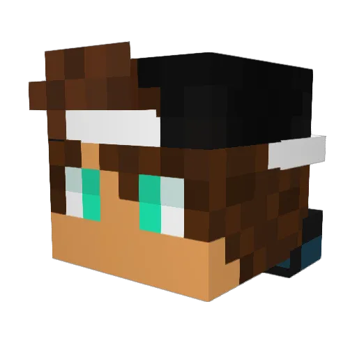ICantRead1 Minecraft avatar head, 3D render