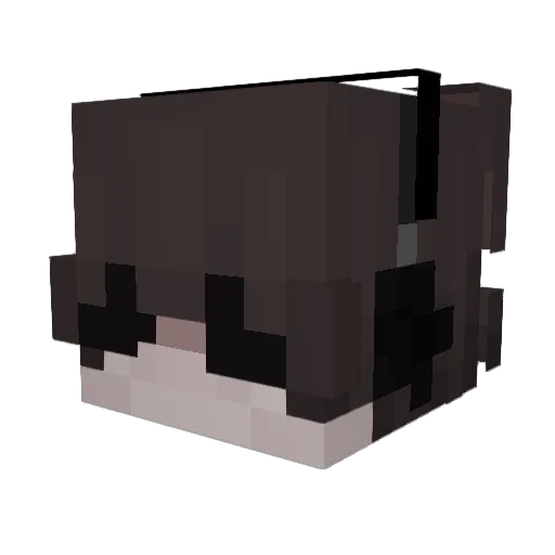 ICookedMyCat Minecraft avatar head, 3D render