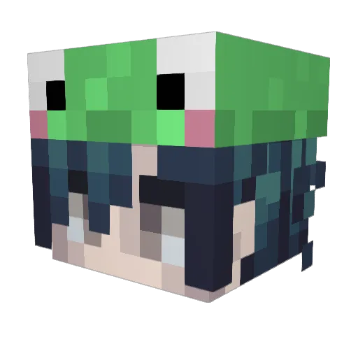 ID0nt_Care Minecraft avatar head, 3D render