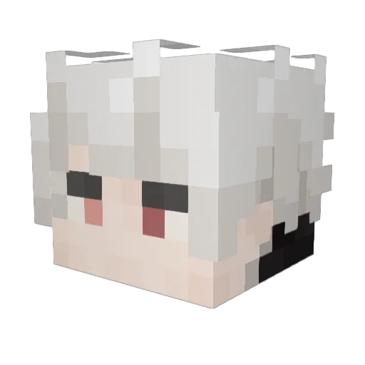 IDAVALLEN Minecraft avatar head, 3D render