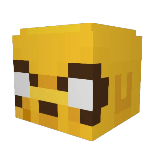 IDDDI Minecraft avatar head, 3D render