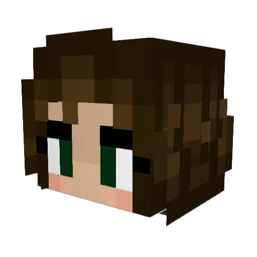 IDFSOLDIER69 Minecraft avatar head, 3D render