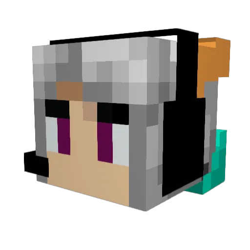 IDK1566 Minecraft avatar head, 3D render