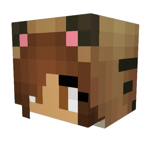IDKMY_USERNAME Minecraft avatar head, 3D render