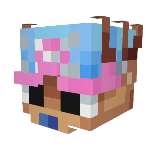 IDKReally32 Minecraft avatar head, 3D render