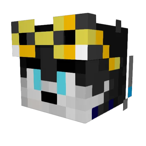 IDKWHATTOPUT_42 Minecraft avatar head, 3D render