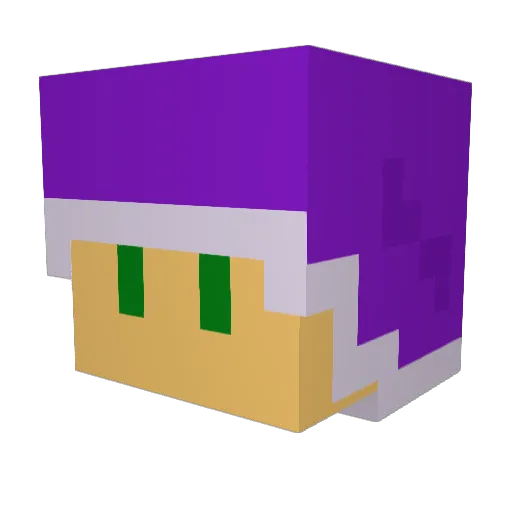 IDK_Won Minecraft avatar head, 3D render