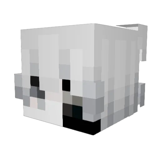 IDODRUGSANDIRAP3 Minecraft avatar head, 3D render