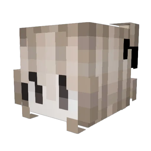 IDONTLIKEPEOPLE Minecraft avatar head, 3D render