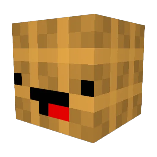 IDUNNO11 Minecraft avatar head, 3D render