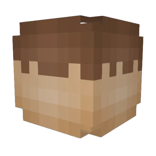 ID_Rokan Minecraft avatar head, 3D render