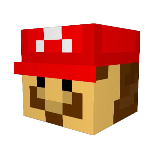 IDanPoop99 Minecraft avatar head, 3D render
