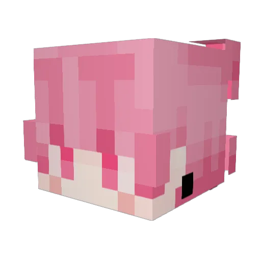 IDark_Allen Minecraft avatar head, 3D render
