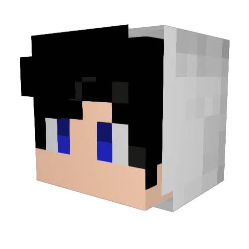 IDaviGamesBr Minecraft avatar head, 3D render