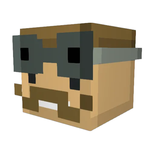 IDology102 Minecraft avatar head, 3D render