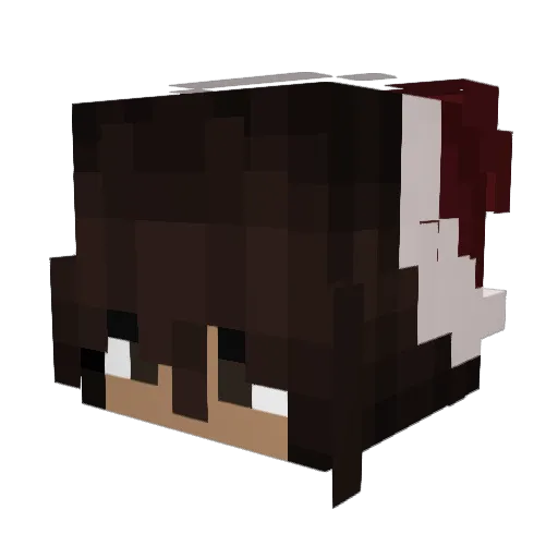 IDontCareTbh Minecraft avatar head, 3D render