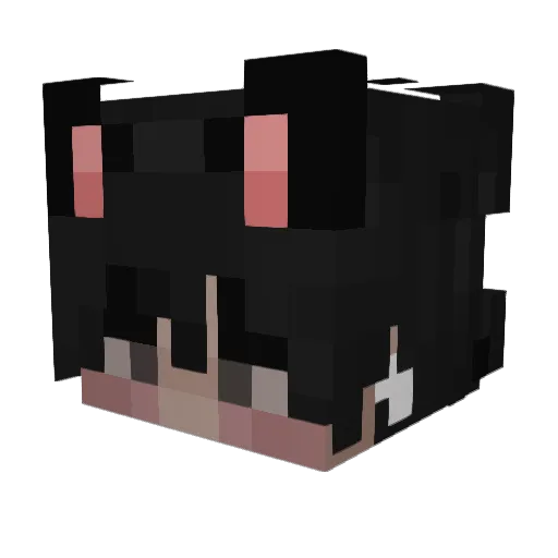 IDontKnowAName_ Minecraft avatar head, 3D render