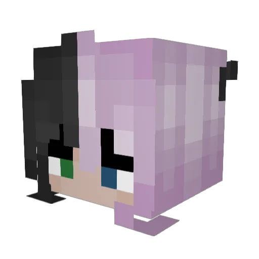 IDontKnowMyName3 Minecraft avatar head, 3D render