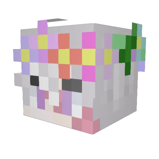 IDontKnow_0o Minecraft avatar head, 3D render
