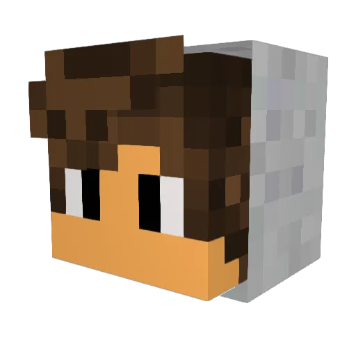 IDontLikeHacks Minecraft avatar head, 3D render