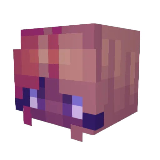 IDontLoveMe66 Minecraft avatar head, 3D render