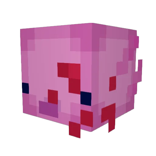 IDoozler Minecraft avatar head, 3D render