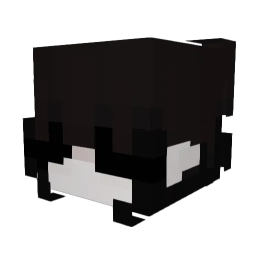 IDrinkToothpaste Minecraft avatar head, 3D render