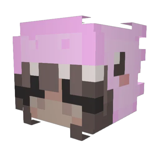 IENNY Minecraft avatar head, 3D render