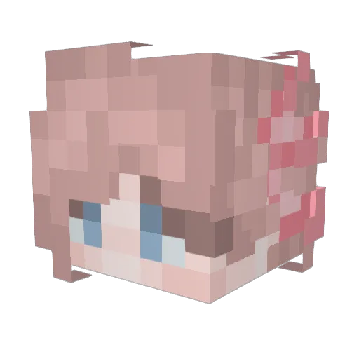 IEatKelp Minecraft avatar head, 3D render