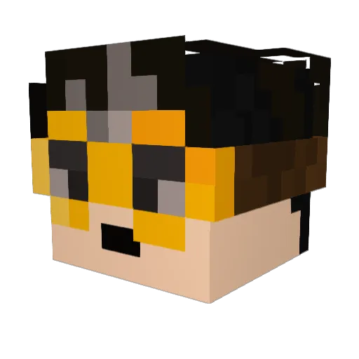 IEatPoo72 Minecraft avatar head, 3D render