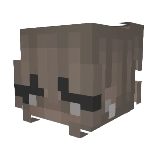 IEatStones Minecraft avatar head, 3D render
