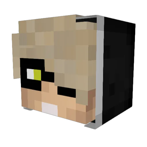 IErenRGx Minecraft avatar head, 3D render