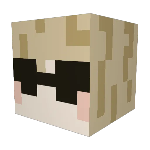 IF4RTED69 Minecraft avatar head, 3D render