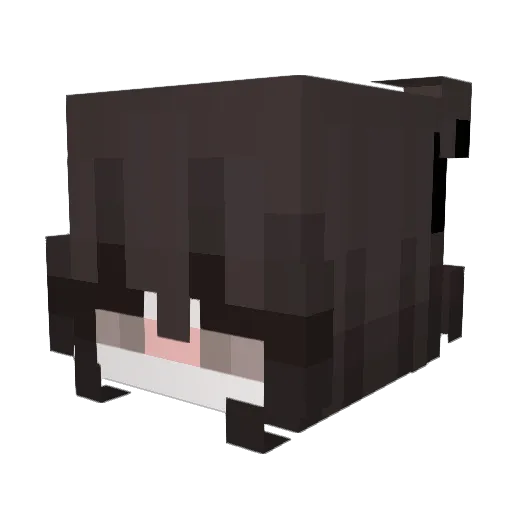 IFAN9001 Minecraft avatar head, 3D render