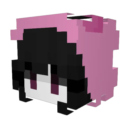 IFanStunnedNick Minecraft avatar head, 3D render