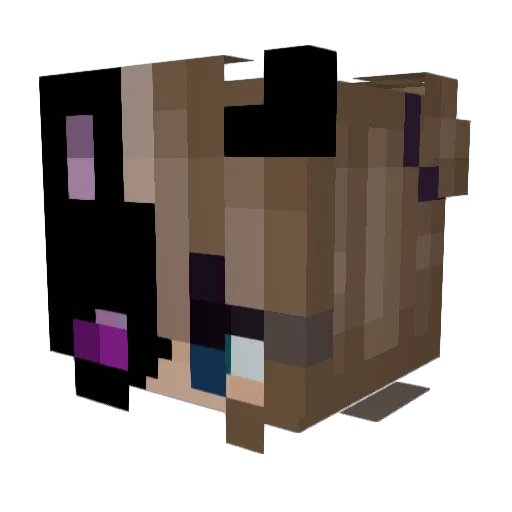 IFeelWhale Minecraft avatar head, 3D render