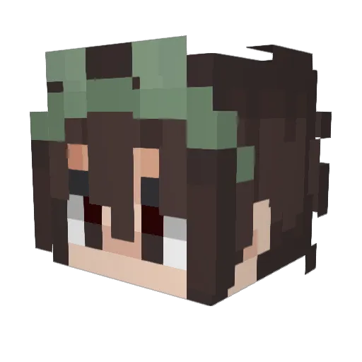IFindDiamonds123 Minecraft avatar head, 3D render