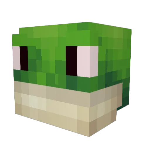 IFoundTheGrotto Minecraft avatar head, 3D render