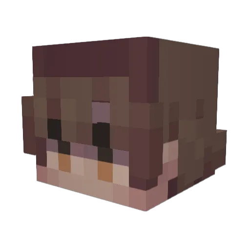 IFoundYouLol Minecraft avatar head, 3D render