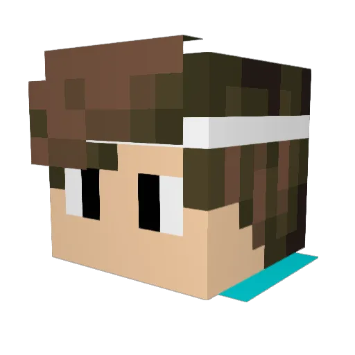 IFur2009 Minecraft avatar head, 3D render