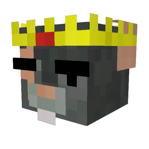 IG00n2Kids Minecraft avatar head, 3D render
