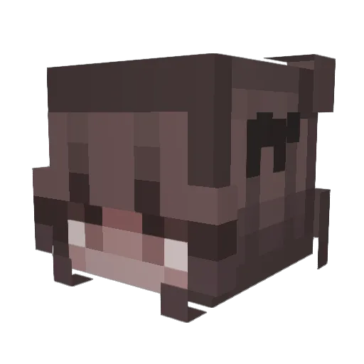 IGB233 Minecraft avatar head, 3D render